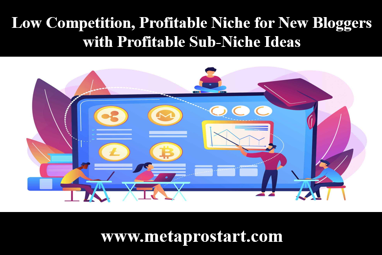 Low Competition, Profitable Niche for New Bloggers with Profitable Sub-Niche Ideas